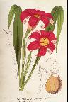 教育智慧从哪里来蔡菊花